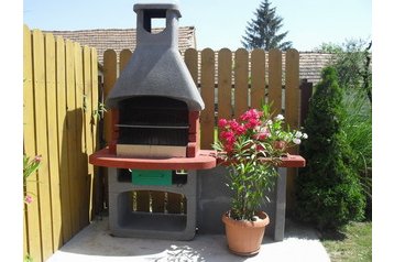 Madjarska Privát Buzsák, Eksterijer